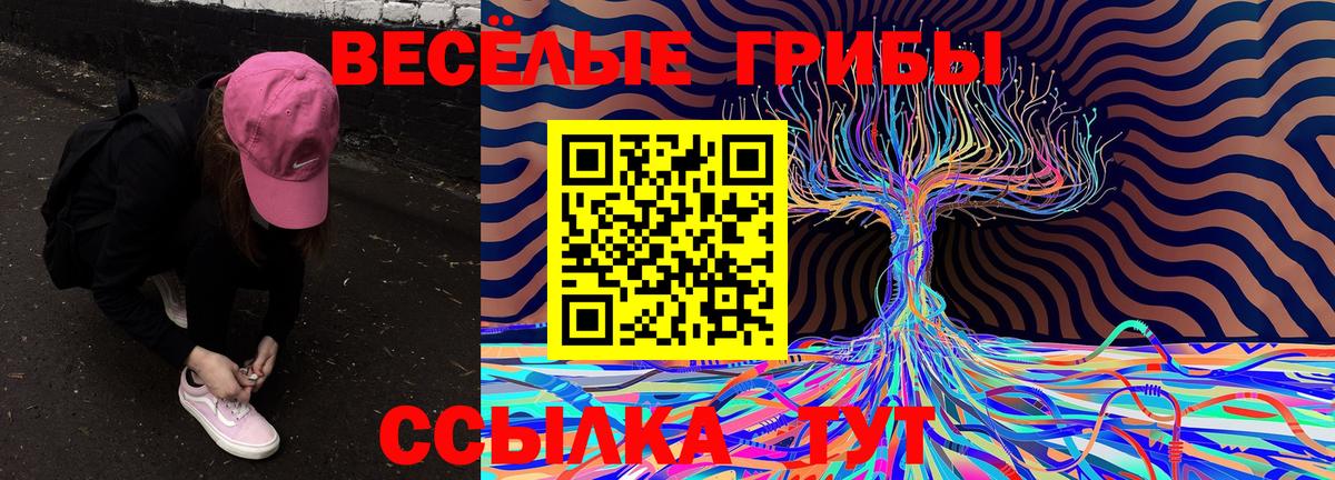 Псилоцибиновые грибы MAGIC MUSHROOMS Нерюнгри