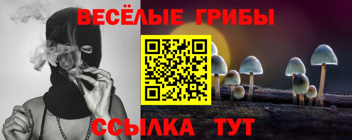 Галлюциногенные грибы Psilocybe  Вход с VPN  Нерюнгри  Псилоцибиновые грибы ЛСД 